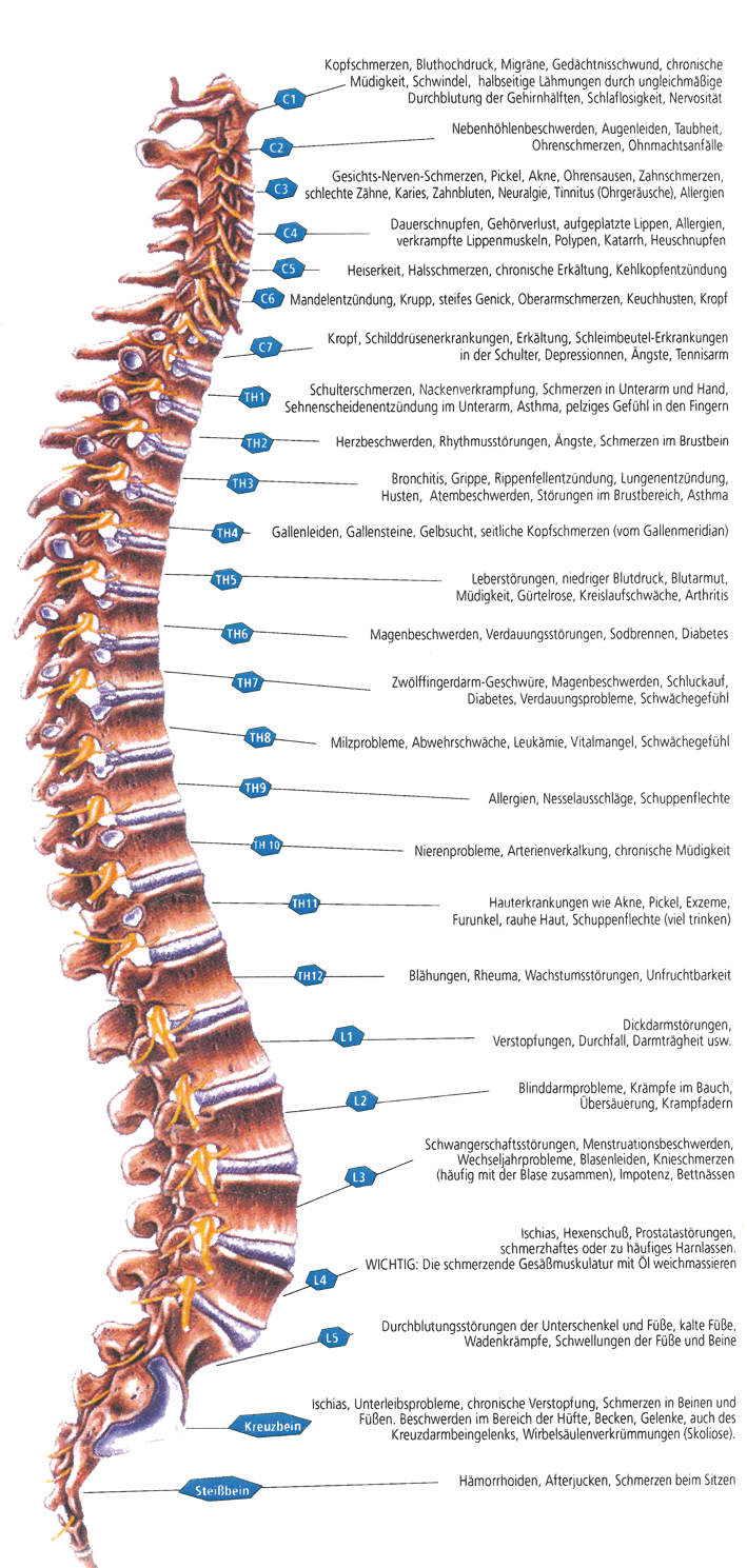 M&ouml;gliche Beschwerden durch fehlstehende Wirbel